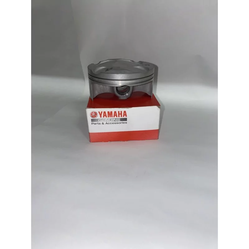 PISTON STANDARD PISTON STANDARD