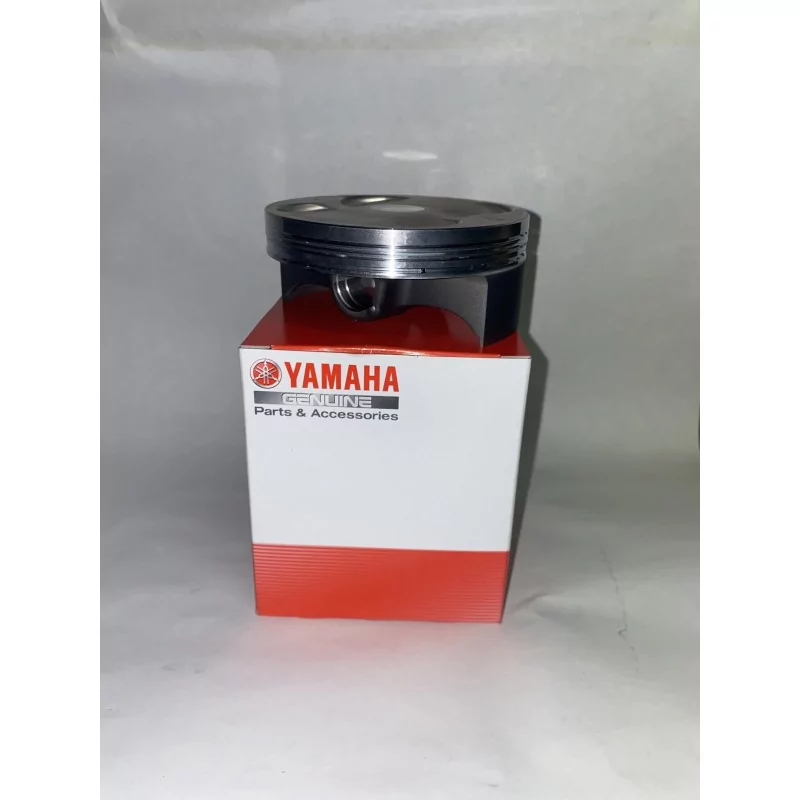 PISTON STANDARD PISTON STANDARD